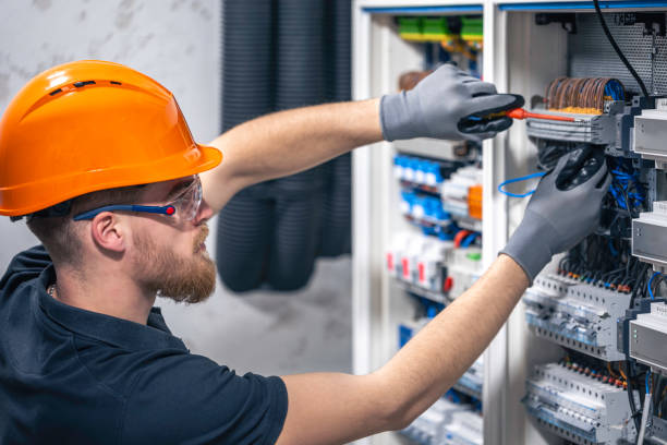 Best Electrical System Inspection  in Mapleton, IA